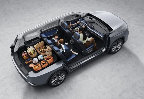 首付9900元開睿藍(lán)9即刻出發(fā)