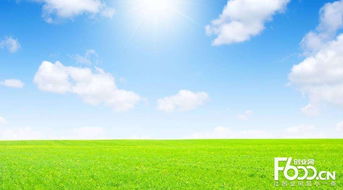 睿容空氣凈化器加盟指南 加盟費(fèi)、官網(wǎng)、條件流程及政策支持解析